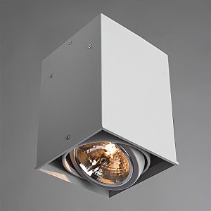 Светильник потолочный Arte Lamp A5936PL-1WH
