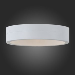Уличный LED настенный светильник ST Luce SL562 SL562.501.01