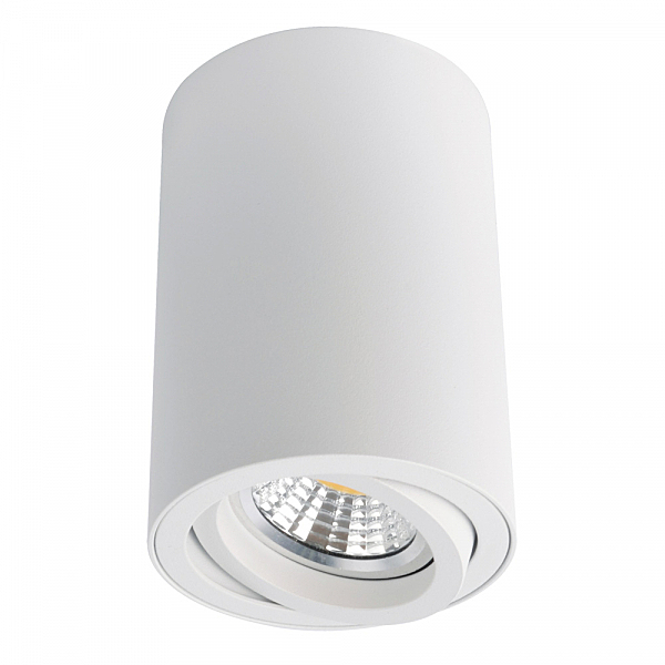 Накладной светильник Arte Lamp Sentry A1560PL-1WH