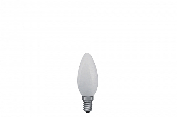 Лампа накаливания Paulmann 44908