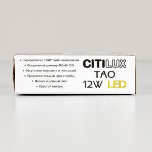 Потолочный светодиодный светильник Citilux Тао CL712X122N