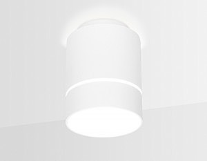 Накладной светильник Ambrella Techno Spot TN256