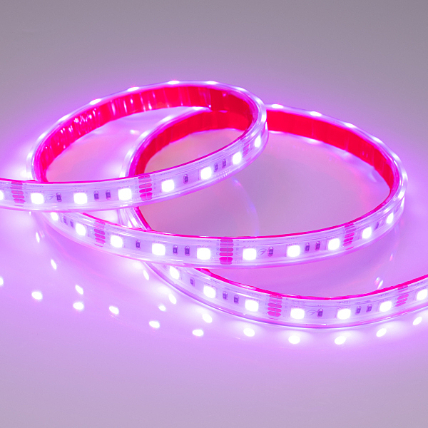 LED лента Arlight RTW герметичная 021402(2)