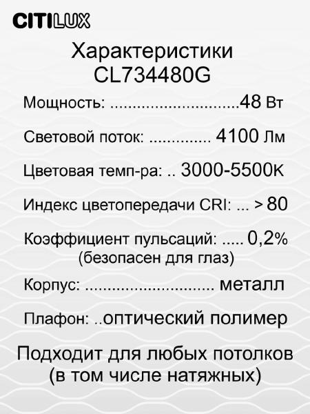 Светильник потолочный Citilux Спутник CL734480G