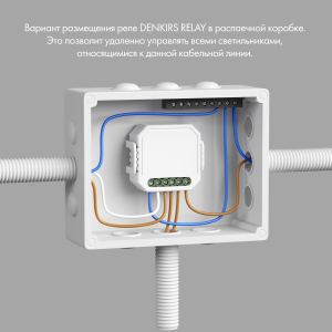 Wi-Fi реле Denkirs Rl1000 RL1002-SM