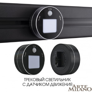 Трековый светильник Arte Milano Am-track-sockets 380011TLS/LWS Black