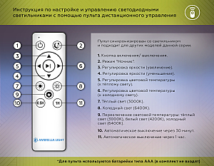 Светильник потолочный Ambrella Design FZ1403