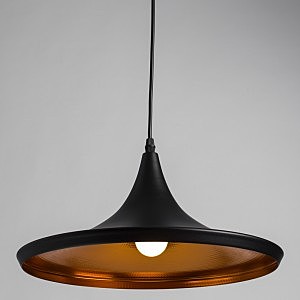 Светильник подвесной Arte Lamp CAPPELLO A3406SP-1BK